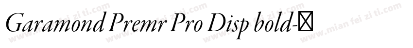 Garamond Premr Pro Disp bold字体转换